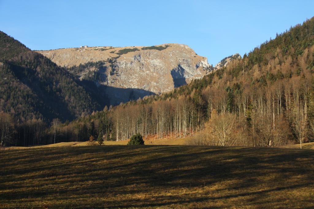 Saint Wolfgang Haus Seeschwalbe מראה חיצוני תמונה